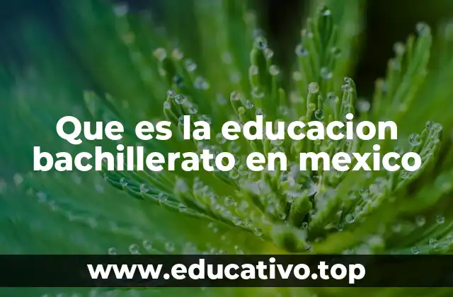 Que es la educacion bachillerato en mexico