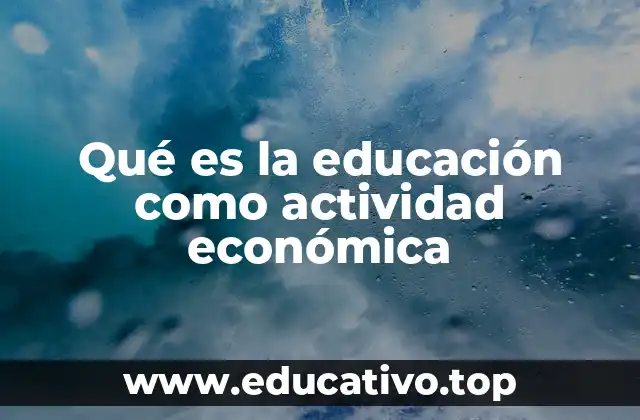 Qué es la educación como actividad económica
