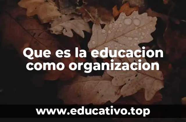 Que es la educacion como organizacion
