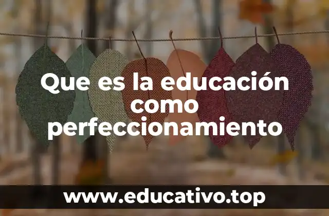 Que es la educación como perfeccionamiento