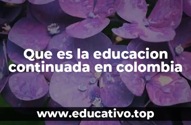 Que es la educacion continuada en colombia
