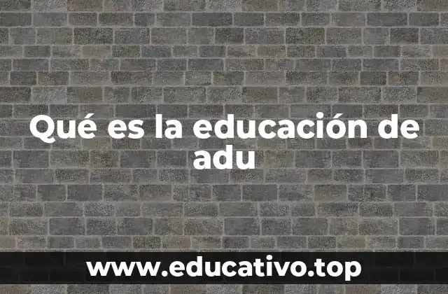 Qué es la educación de adu