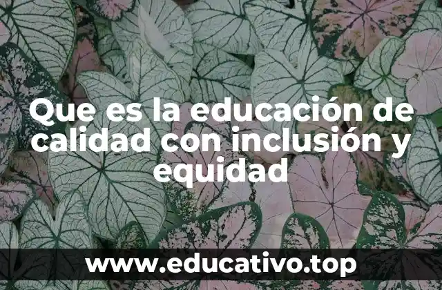 Que es la educación de calidad con inclusión y equidad