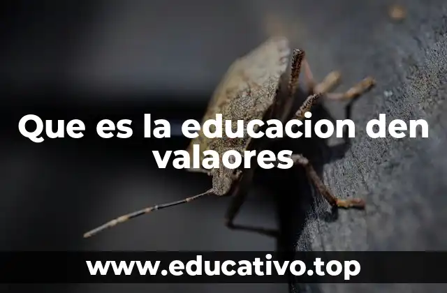 Que es la educacion den valaores
