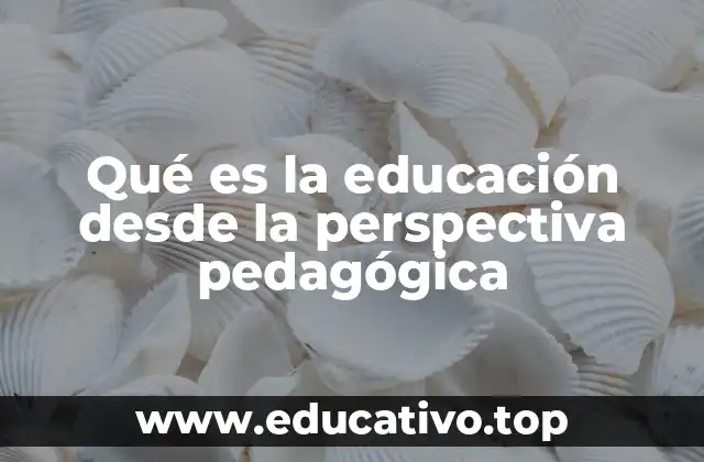 Qué es la educación desde la perspectiva pedagógica