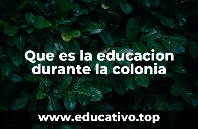 Que es la educacion durante la colonia