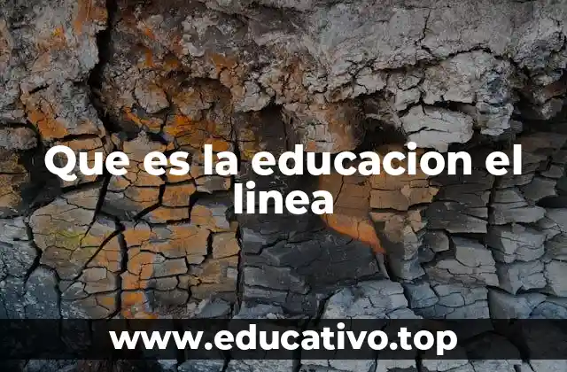 Que es la educacion el linea