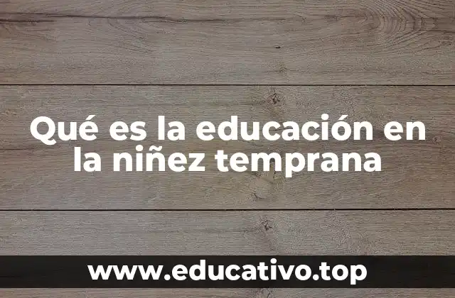 Qué es la educación en la niñez temprana