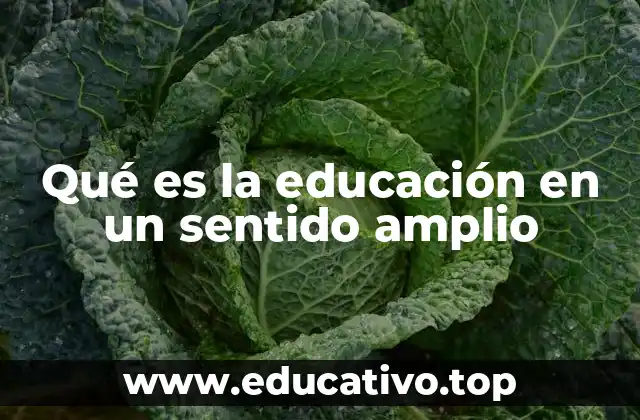 Qué es la educación en un sentido amplio