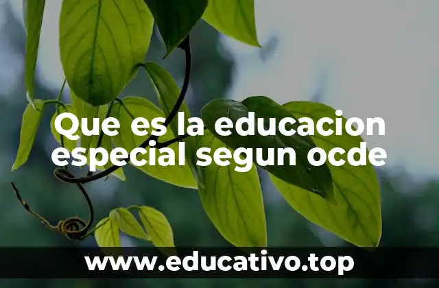 Que es la educacion especial segun ocde
