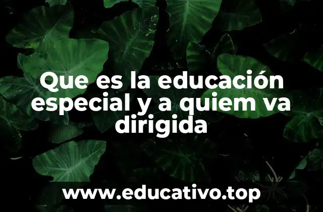 Que es la educación especial y a quiem va dirigida
