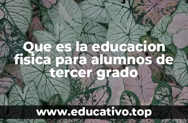 Que es la educacion fisica para alumnos de tercer grado