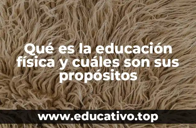 Qué es la educación física y cuáles son sus propósitos