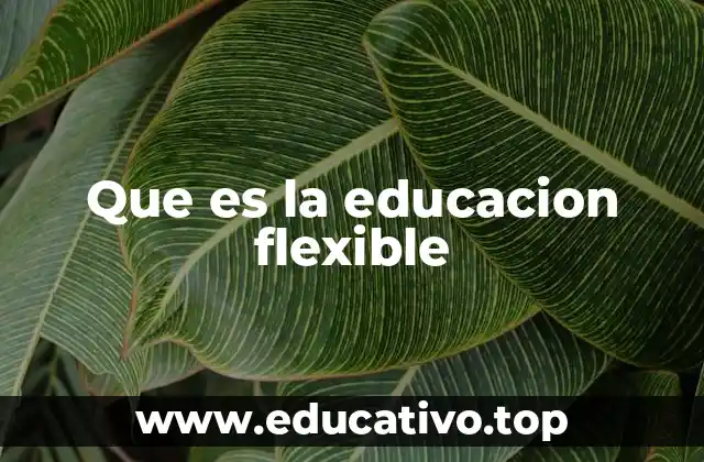 Que es la educacion flexible