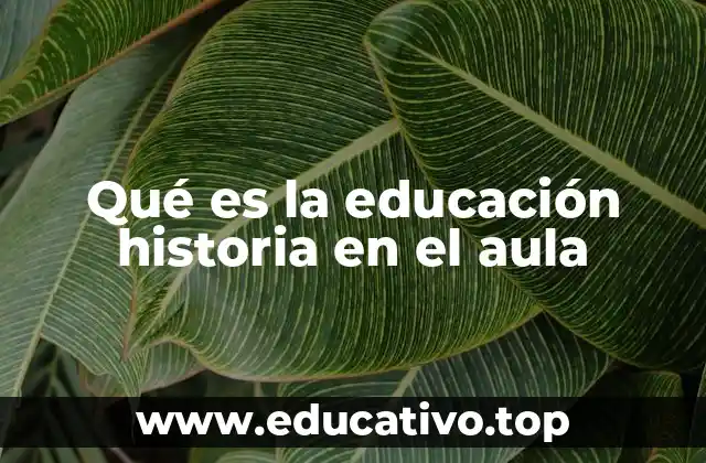 Qué es la educación historia en el aula