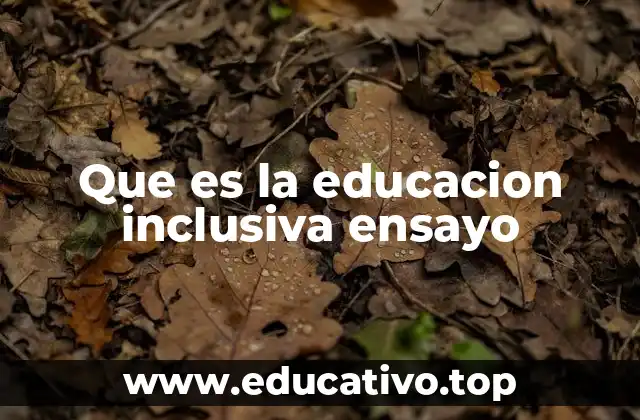 Que es la educacion inclusiva ensayo