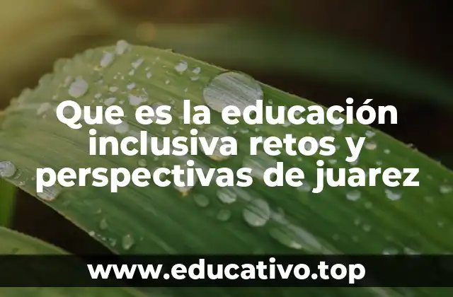 Que es la educación inclusiva retos y perspectivas de juarez