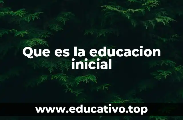 Que es la educacion inicial