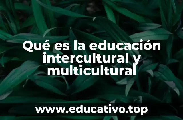 Qué es la educación intercultural y multicultural