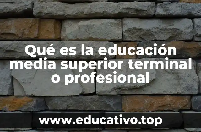 Qué es la educación media superior terminal o profesional