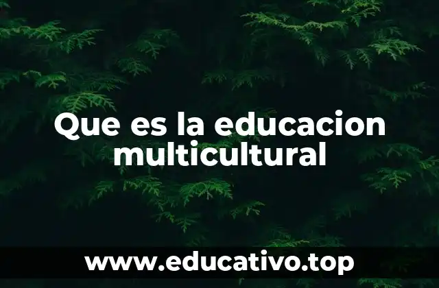 Que es la educacion multicultural
