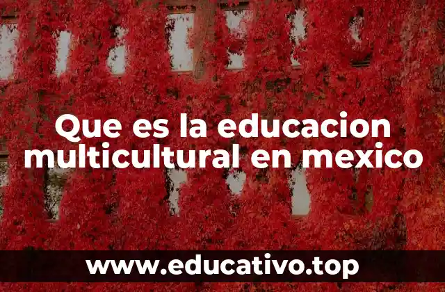 Que es la educacion multicultural en mexico