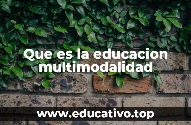 Que es la educacion multimodalidad