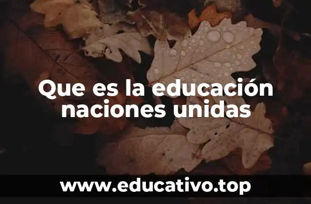 Que es la educación naciones unidas