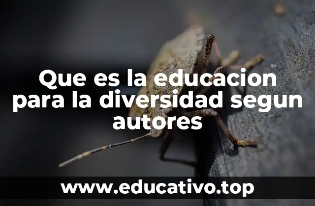 Que es la educacion para la diversidad segun autores