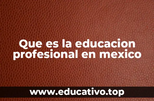 Que es la educacion profesional en mexico