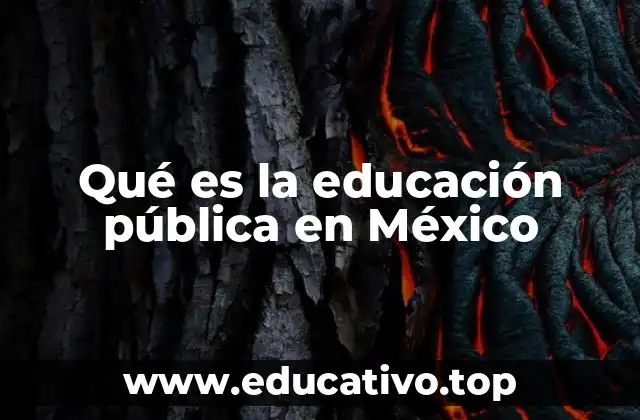 Qué es la educación pública en México