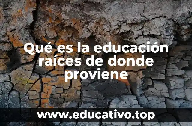 Qué es la educación raíces de donde proviene