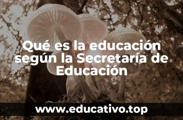 Qué es la educación según la Secretaría de Educación