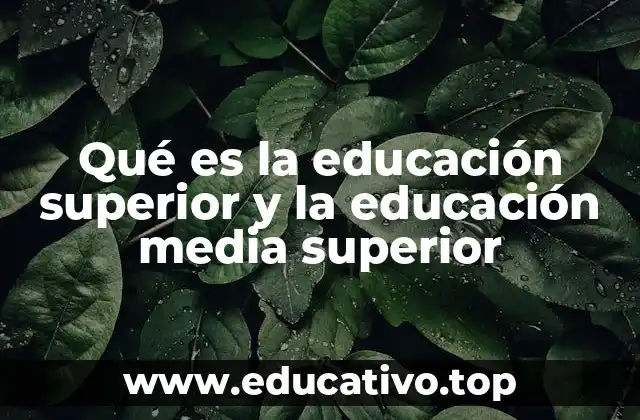 Qué es la educación superior y la educación media superior