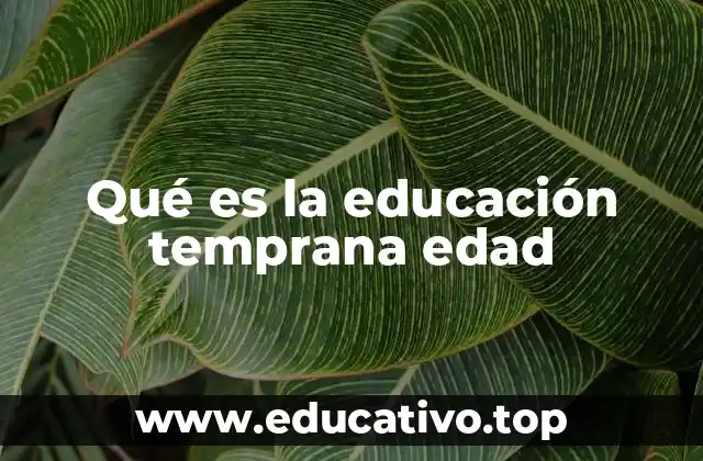 Qué es la educación temprana edad