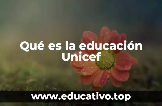 Qué es la educación Unicef