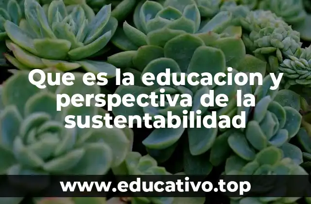 Que es la educacion y perspectiva de la sustentabilidad