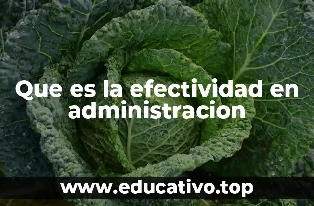 Que es la efectividad en administracion