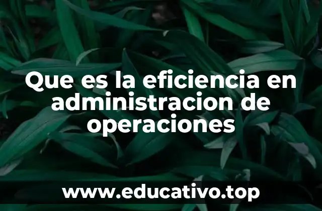 Que es la eficiencia en administracion de operaciones