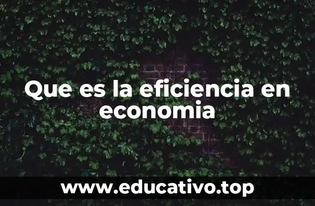 Que es la eficiencia en economia