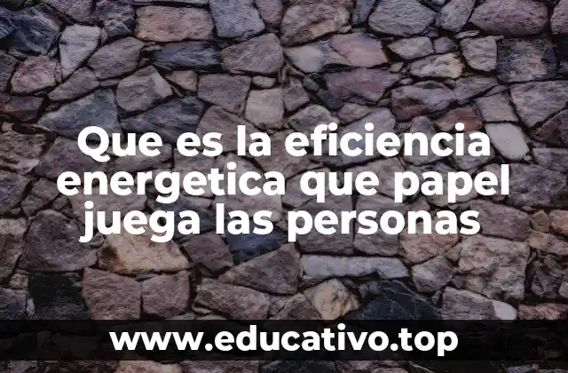 Que es la eficiencia energetica que papel juega las personas
