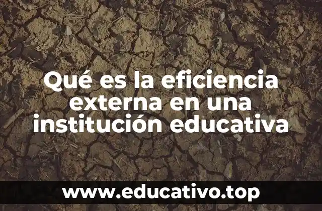 Qué es la eficiencia externa en una institución educativa