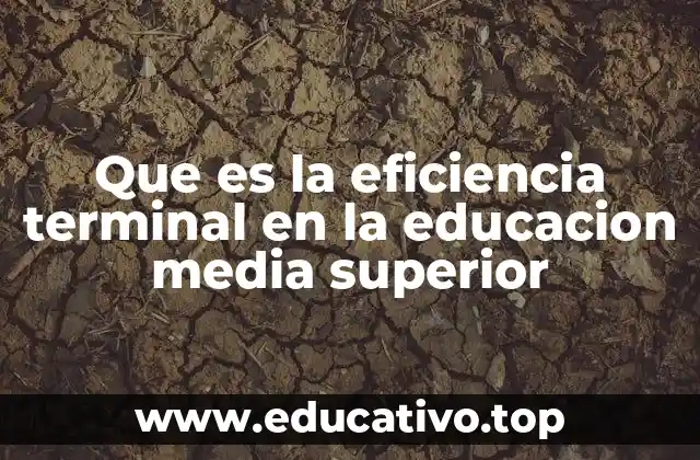 Que es la eficiencia terminal en la educacion media superior