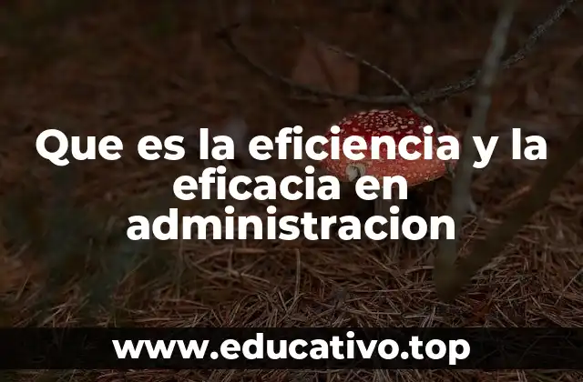 Que es la eficiencia y la eficacia en administracion