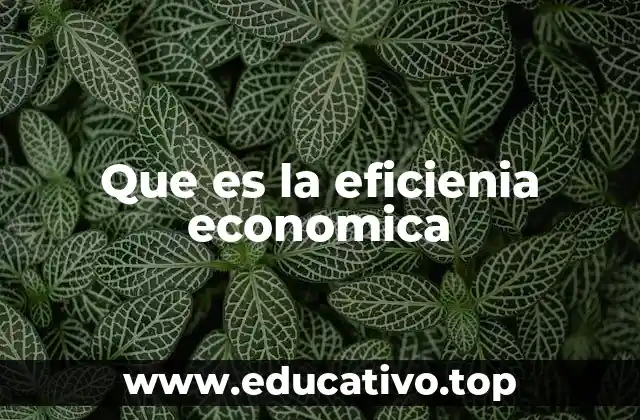 Que es la eficienia economica
