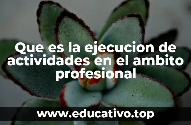 Que es la ejecucion de actividades en el ambito profesional
