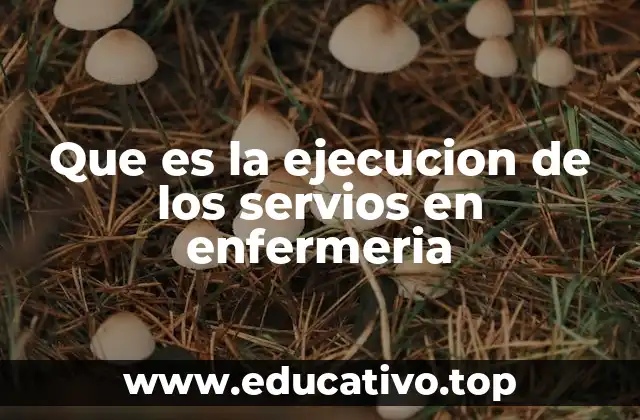 Que es la ejecucion de los servios en enfermeria