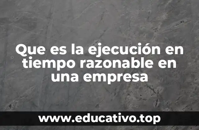 Que es la ejecución en tiempo razonable en una empresa