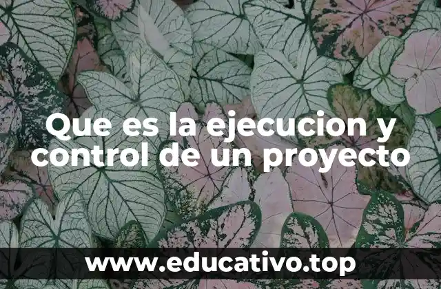 La importancia de la planificación previa para una ejecución exitosa