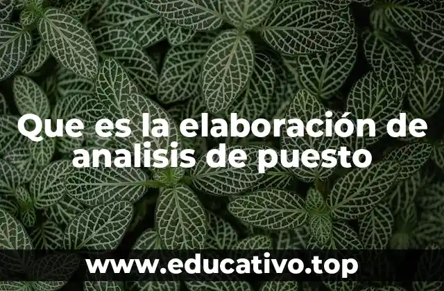 Que es la elaboración de analisis de puesto